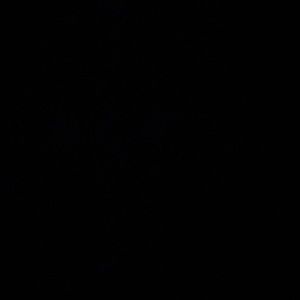 Men and Women’s clothing